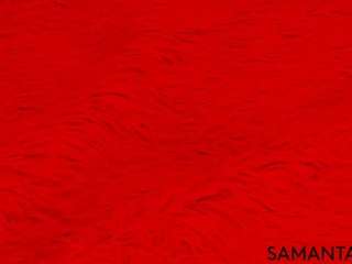 sammy