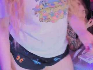 carolinawinter webcam