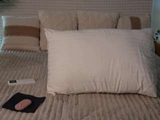 XenEuphoria live cam preview