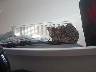 voyeurcam sexy little ana