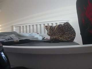 voyeurcam sexy little ana