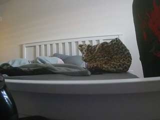 voyeurcam sexy little ana
