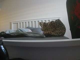 voyeurcam sexy little ana
