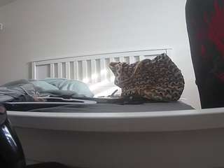 voyeurcam-sexy-little-ana-01