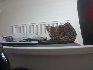 voyeurcam-sexy-little-ana-01