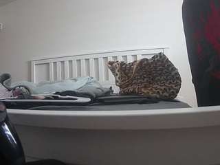 voyeurcam-sexy-little-ana-01