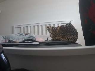 voyeurcam-sexy-little-ana-01