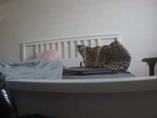 voyeurcam-sexy-little-ana-01