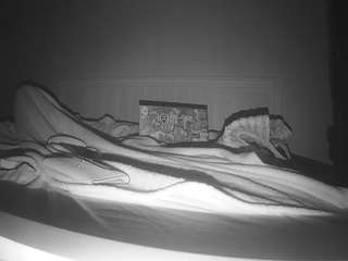 voyeurcam sexy little ana