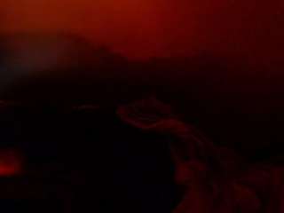 cocoflames75