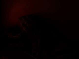 cocoflames75