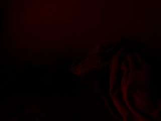 cocoflames75
