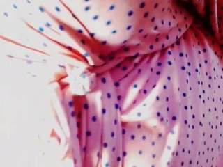 CocoFlames75