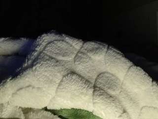 LusciousLipsT live webcam show
