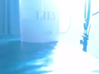 lilyhung2's Live Sex Cam Show