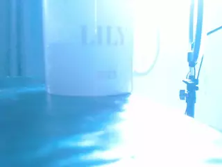 lilyhung2's Live Sex Cam Show