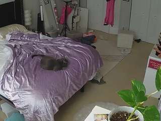 voyeurcam-house-charleys-room