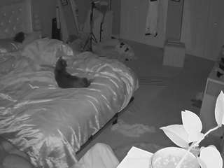 voyeurcam-house-charleys-room