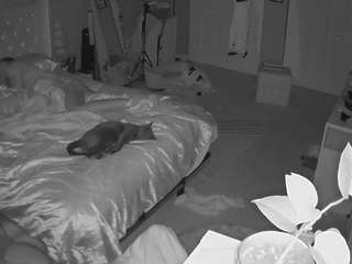 voyeurcam-house-charleys-room