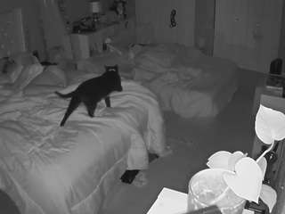 voyeurcam-house-charleys-room