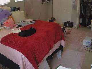 voyeurcam-house-... Live Webcam on CamSoda