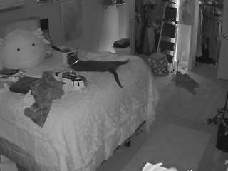 voyeurcam house charleys room