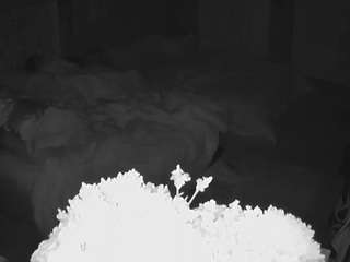 voyeurcam house charleys room