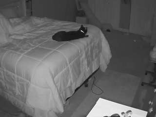 voyeurcam-house-char... webcam