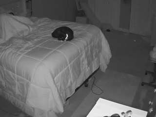 voyeurcam house charleys room