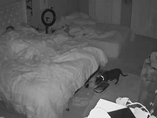 voyeurcam house charleys roo