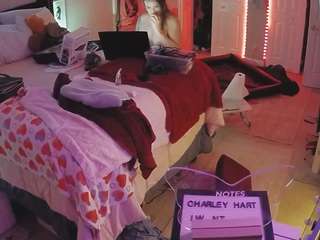 voyeurcam house charleys room