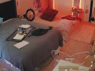 voyeurcam-house-charleys-room