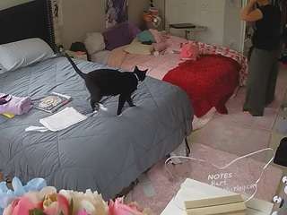 voyeurcam house charleys room