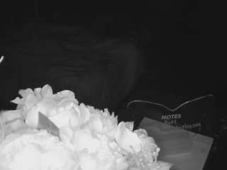 voyeurcam-house-charleys-room