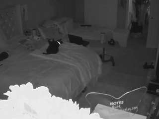 voyeurcam-house-... Live Webcam on CamSoda