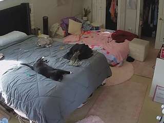 voyeurcam house charleys room