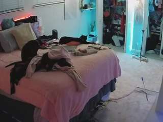 voyeurcam-house-char... webcam