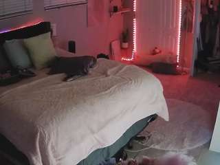 voyeurcam-house-charleys-room