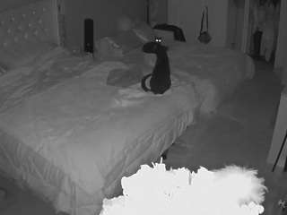 voyeurcam house charleys room