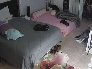 voyeurcam house charleys room