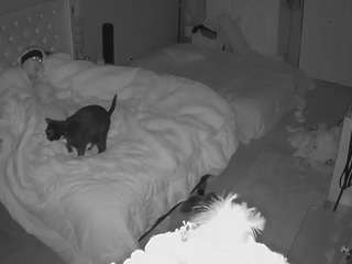 voyeurcam house charleys room