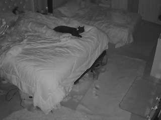 voyeurcam house charleys room