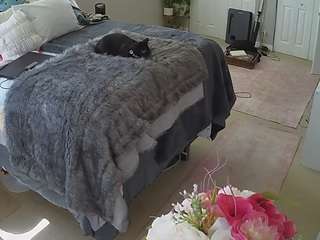 voyeurcam-house-charleys-room webcam