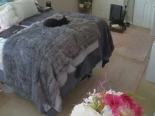 voyeurcam-house-charleys-room webcam