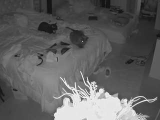 voyeurcam-house-charleys-room