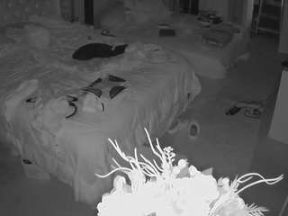 voyeurcam-house-charleys-room