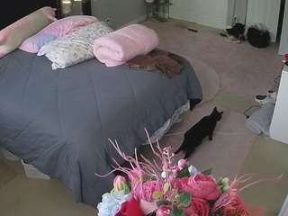 voyeurcam house charleys room