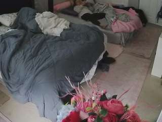 voyeurcam-house-charleys-room webcam