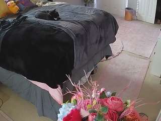 voyeurcam-house-charleys-room live cam profile