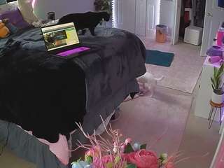 voyeurcam house charleys room